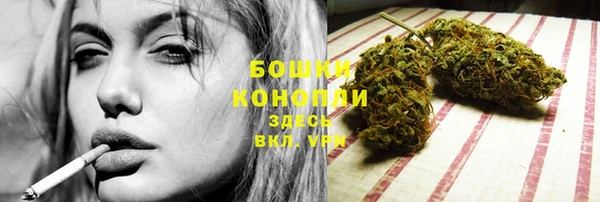 гашик Заволжье