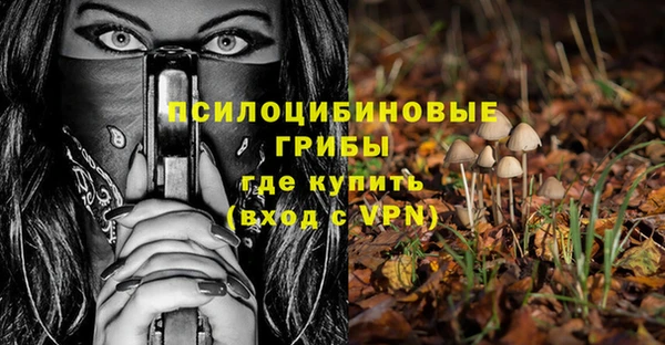 гашик Заволжье