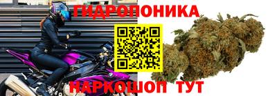 наркотики Гагарин