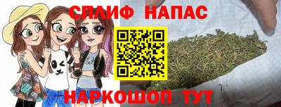 ешки Гай