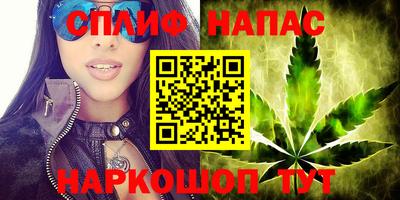 ешки Гай