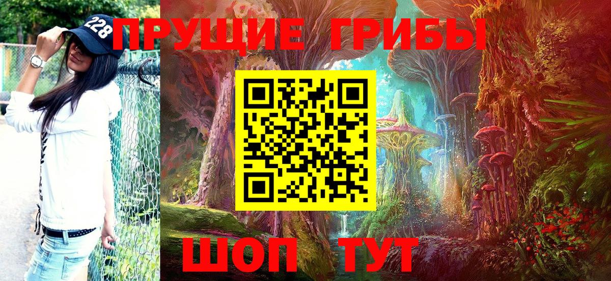 Псилоцибиновые грибы мицелий  цена наркотик  Псилоцибиновые грибы MAGIC MUSHROOMS  Зеленогорск  Вход с VPN 