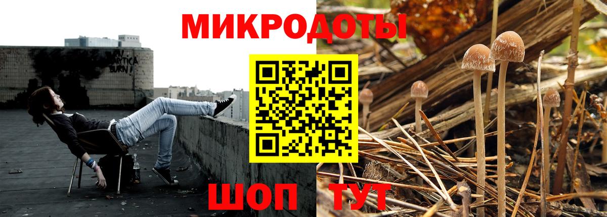 Галлюциногенные грибы мухоморы  где купить наркоту  Зеленогорск 