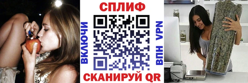 как найти наркотики  Зеленогорск  Канабис ГИДРОПОН 